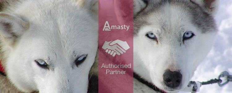 Amasty’s new partner in business