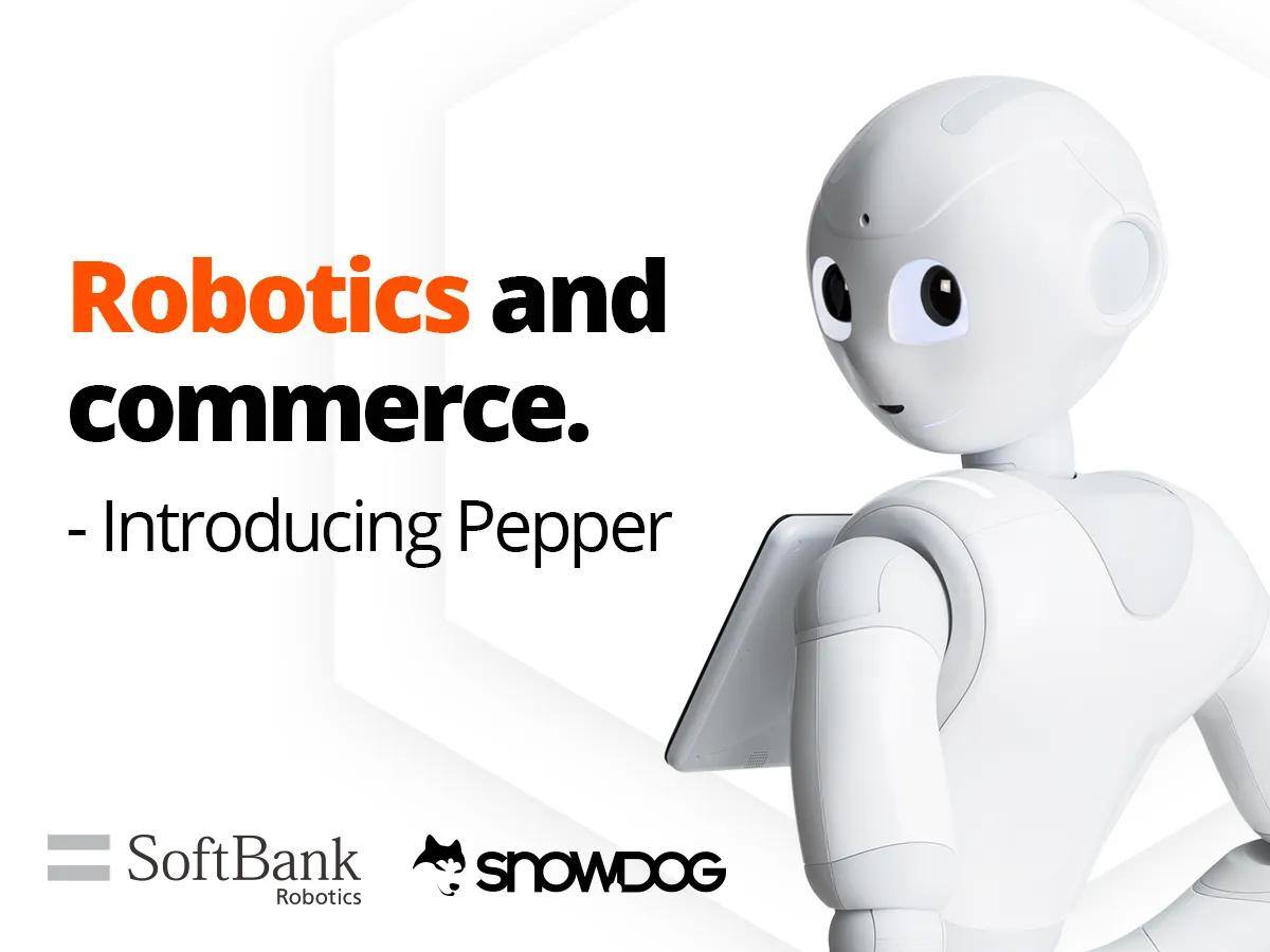 Robotics and eCommerce. Snowdog's partnership with SoftBank Robotics