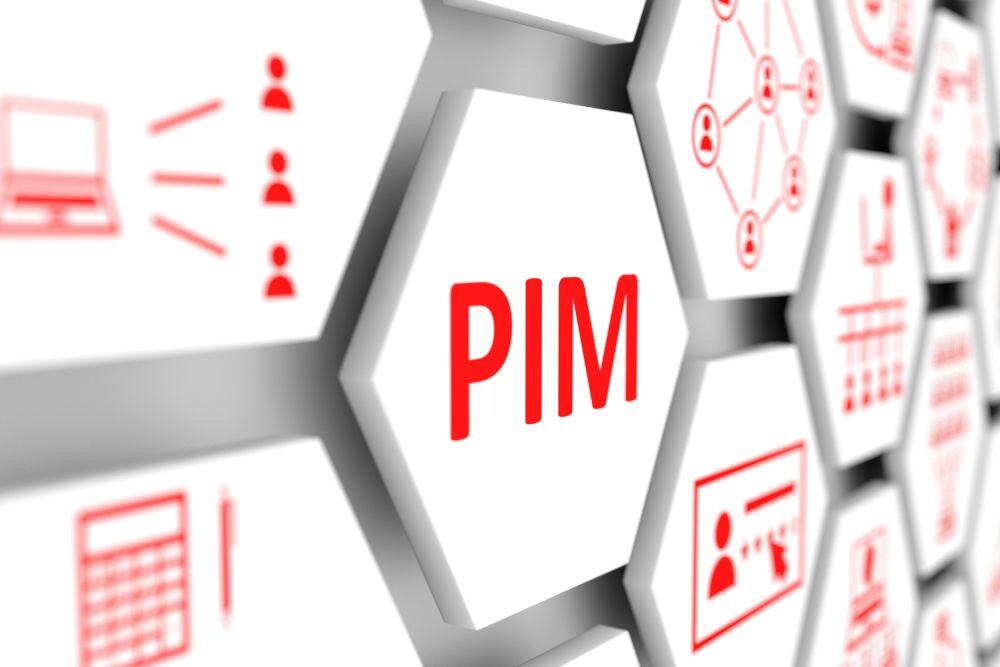 Should You Get a PIM for Your Magento Store? An In-Depth Guide